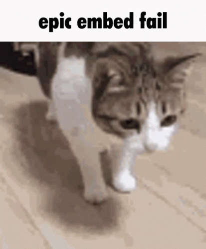 A Cat Is Walking On A Wooden Floor With The Caption Epic Embedded Fail . GIF
