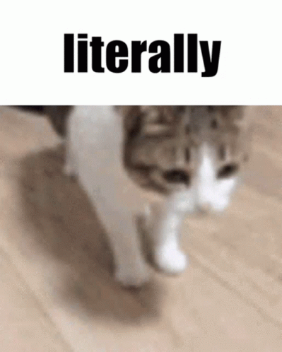A Cat Is Walking On A Wooden Floor With The Words `` Literally '' Written Above It . GIF
