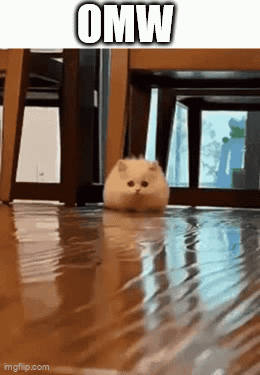 A Cat Is Walking Through A Flooded Room With The Words Omw Above It GIF