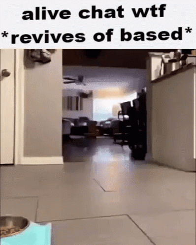 A Cat Is Walking Through A Living Room With A Caption That Says Alive Chat Wtf * Revives Of Based * . GIF
