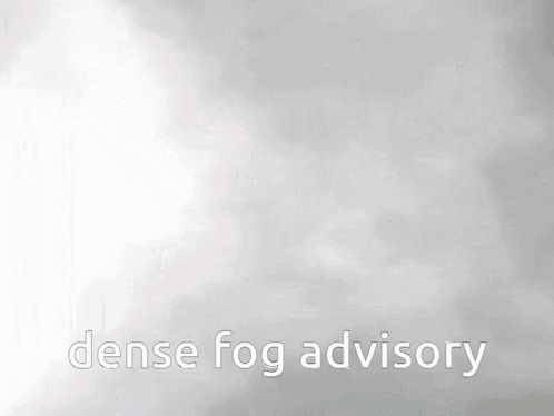 A Cat Is Walking Through Dense Fog With The Words Dense Fog Advisory Above It GIF