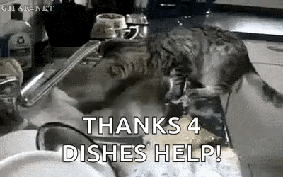 a cat is washing dishes in a kitchen sink with the words `` thanks 4 dishes help '' .