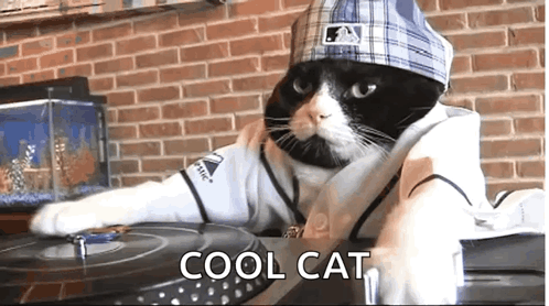 A Cat Is Wearing A Baseball Uniform And A Hat And Says Cool Cat On The Bottom Right GIF