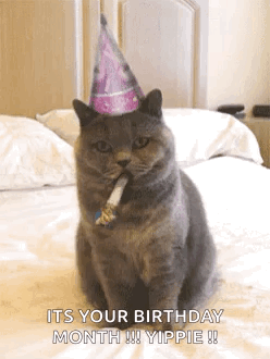 A Cat Is Wearing A Birthday Hat And Blowing A Party Horn . GIF