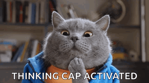 A Cat Is Wearing A Blue Jacket With The Words " Thinking Cap Activated " Written Below It GIF