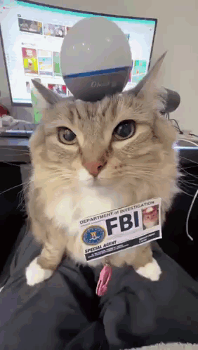 A Cat Is Wearing A Fbi Badge And Sitting On Someone 'S Lap GIF