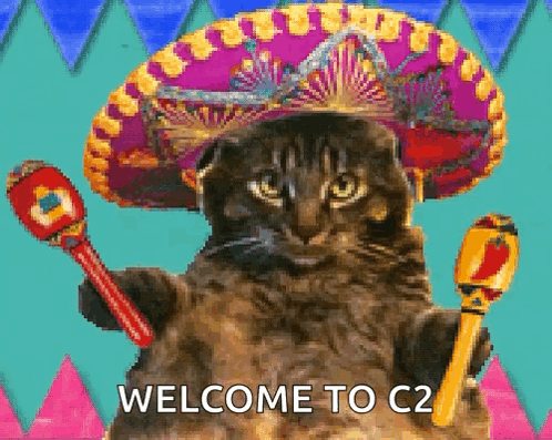 A Cat Is Wearing A Sombrero And Holding Maracas GIF