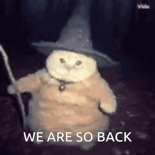 A Cat Is Wearing A Wizard Costume And Holding A Wand And Says We Are So Back . GIF