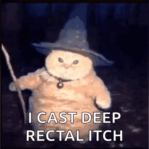 A Cat Is Wearing A Wizard Hat And Holding A Stick And Says I Cast Deep Rectal Itch GIF