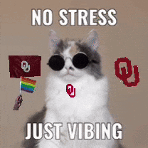 A Cat Is Wearing Sunglasses And Holding A Rainbow Flag And Says " No Stress Just Vibing " GIF