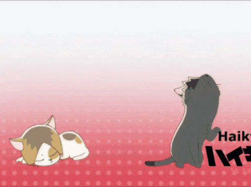 A Cat Laying Down Next To Another Cat With Haikyu Written On The Bottom Right GIF