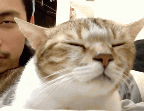 A Cat Laying Next To A Man With His Eyes Closed GIF