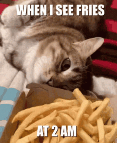 A Cat Laying On A Bed Next To A Box Of French Fries With The Caption " When I See Fries At 2 Am " GIF