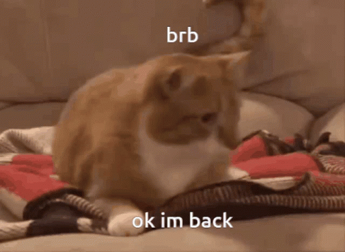 A Cat Laying On A Bed With The Words Brb Ok Im Back Written On The Bottom GIF