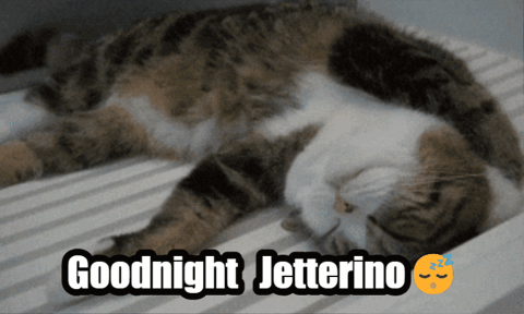 a cat laying on a bed with the words goodnight jetterino written above it