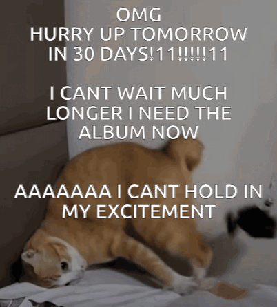 A Cat Laying On A Bed With The Words " Omg Hurry Up Tomorrow In 30 Days !!! " GIF