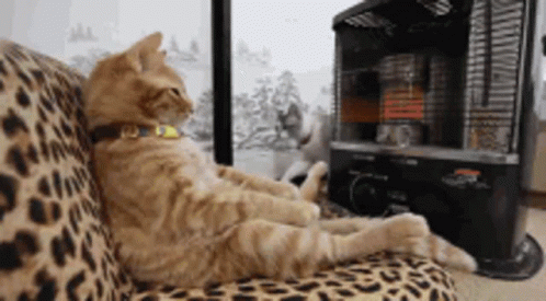 A Cat Laying On A Leopard Print Couch Next To A Heater GIF