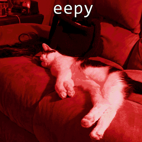 A Cat Laying On A Red Couch With The Word Eepy Written Above It GIF