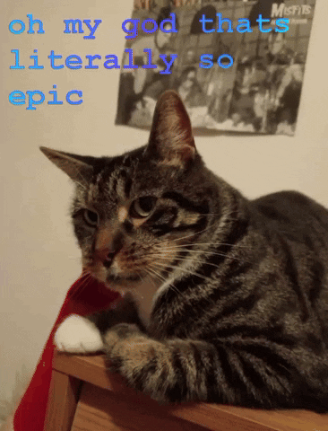 A Cat Laying On A Stool With The Words Oh My God That 'S Literally So Epic GIF