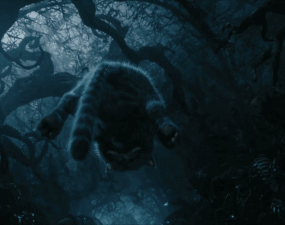 A Cat Laying On Its Back In The Dark GIF