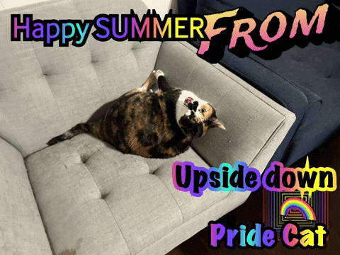 A Cat Laying On Its Back On A Couch With The Words Happy Summer From Upside Down Pride Cat Below It GIF