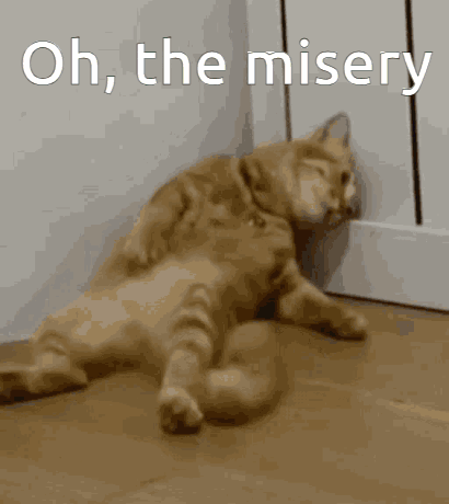 A Cat Laying On The Floor With The Words Oh The Misery Written Above It GIF