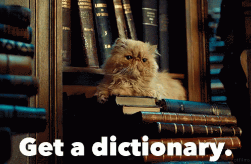 A Cat Laying On Top Of A Stack Of Books With The Words Get A Dictionary Written Below It GIF
