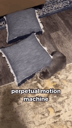 A Cat Laying Under A Pile Of Pillows With The Words Perpetual Motion Machine Above It GIF