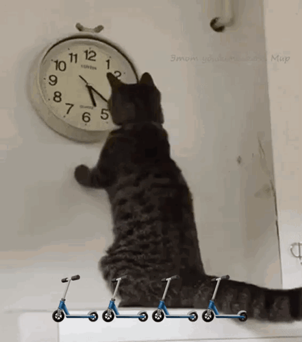 A Cat Looking At A Clock That Says London GIF