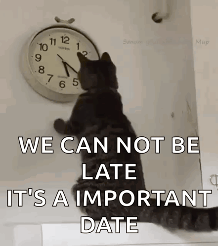A Cat Looking At A Clock That Says We Can Not Be Late GIF