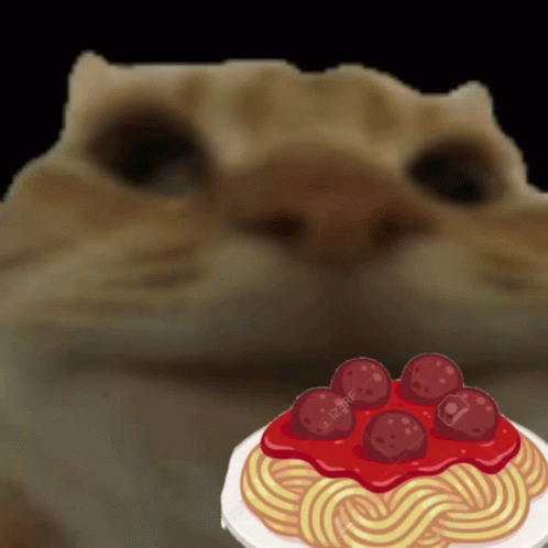 A Cat Looking At A Plate Of Spaghetti With Meatballs And Sauce GIF