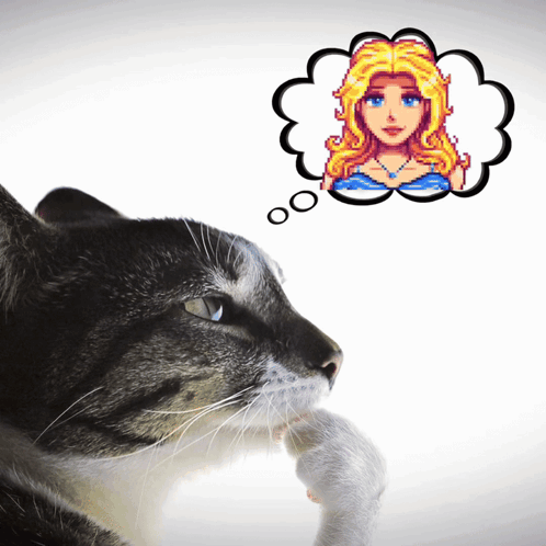A Cat Looking At A Thought Bubble With A Picture Of A Woman On It GIF