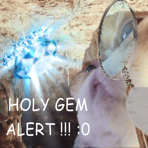 A Cat Looking In A Mirror With The Words Holy Gem Alert Written Above It GIF
