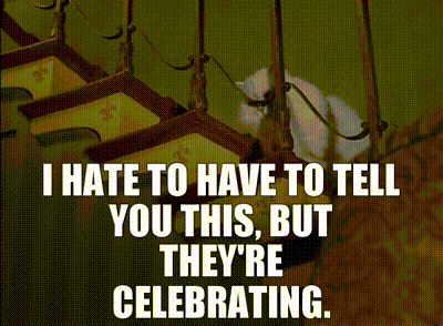 A Cat On A Leash With The Words I Hate To Have To Tell You This But They 'Re Celebrating Written Below It GIF