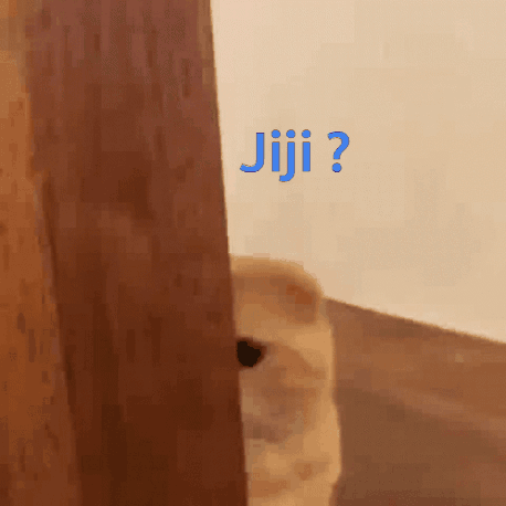 a cat peeking out from behind a door with the word jiji written on it
