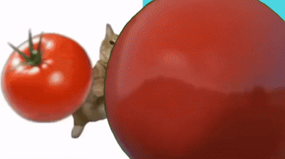 A Cat Peeking Out From Behind A Tomato GIF