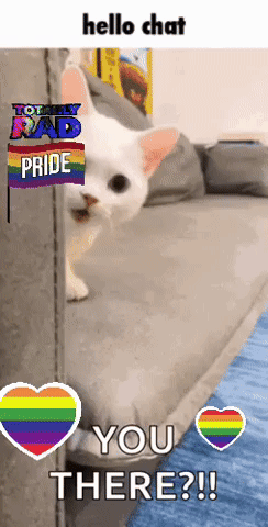 a cat peeking out from behind a wall with a rainbow heart and the words hello chat