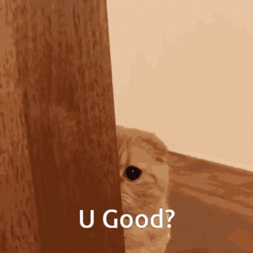 A Cat Peeking Out From Behind A Wooden Wall With The Words U Good Written On The Bottom GIF
