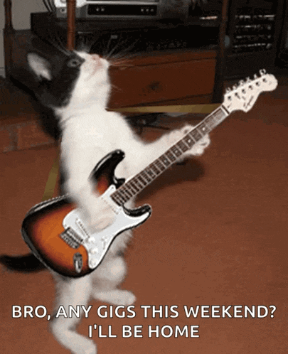 A Cat Playing An Electric Guitar With The Words Bro Any Gigs This Weekend I 'Ll Be Home GIF