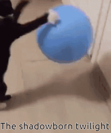 A Cat Playing With A Blue Ball With The Words The Shadowborn Twilight Written Below It GIF