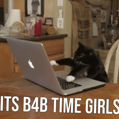 A Cat Playing With An Apple Laptop That Says " Its B4b Time Girls " On The Bottom GIF