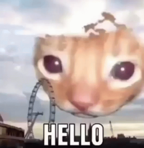 A Cat 'S Head Is Floating In The Air And Says Hello . GIF