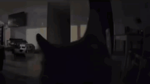 A Cat 'S Head Is Visible In A Dark Living Room GIF