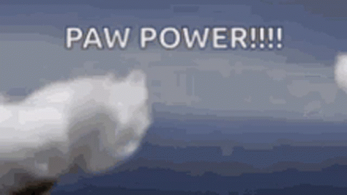 A Cat 'S Paw Is Flying Through The Air With The Words Paw Power Written On The Bottom . GIF