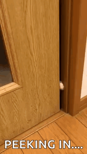 A Cat 'S Paw Is Sticking Out Of A Wooden Door With The Words Peeking In Written On The Bottom GIF