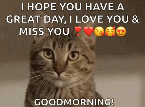 A Cat Says I Hope You Have A Great Day I Love You & Miss You Goodmorning GIF