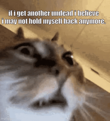 A Cat Says If I Get Another Undead I Believe I May Not Hold Myself Back Anymore . GIF