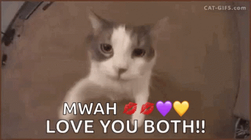 A Cat Says Mwah Love You Both With Purple Hearts And Kisses GIF
