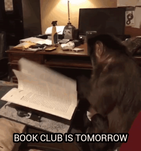 A Cat Sitting At A Desk With The Words Book Club Is Tomorrow On The Bottom GIF