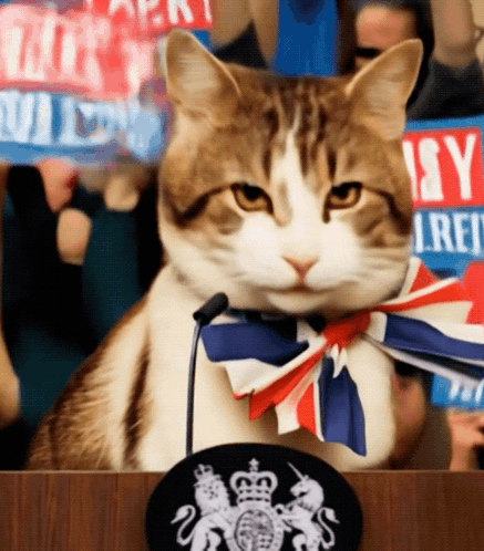 A Cat Sitting At A Podium With A Sign That Says Isy GIF